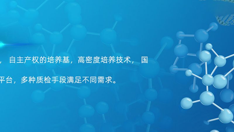 PCR检测代理合同模板：构建合作基石的必备要素