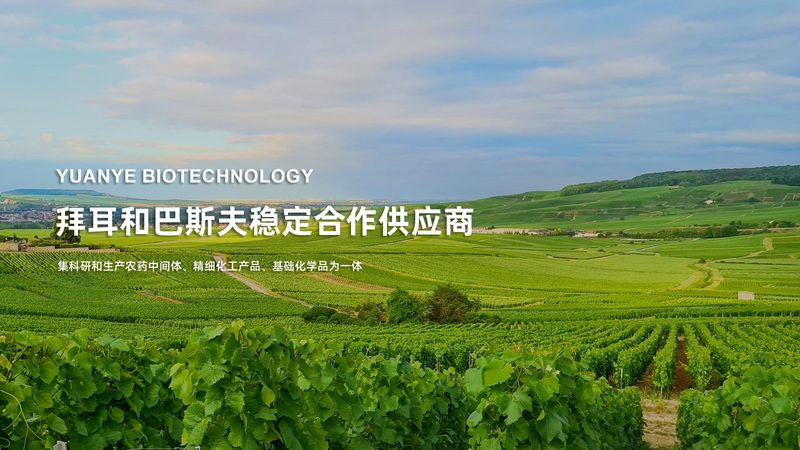 培养基pH值调节：精准控制，助力细胞培养成功**