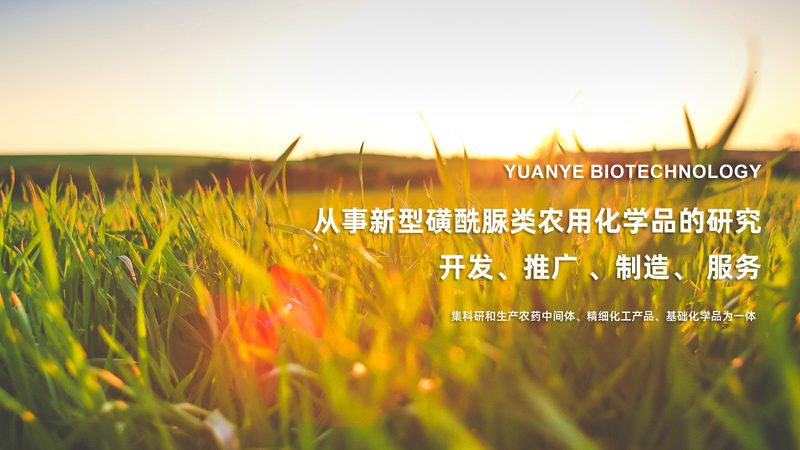 大分子药物冷链运输，这些关键点你了解吗？**