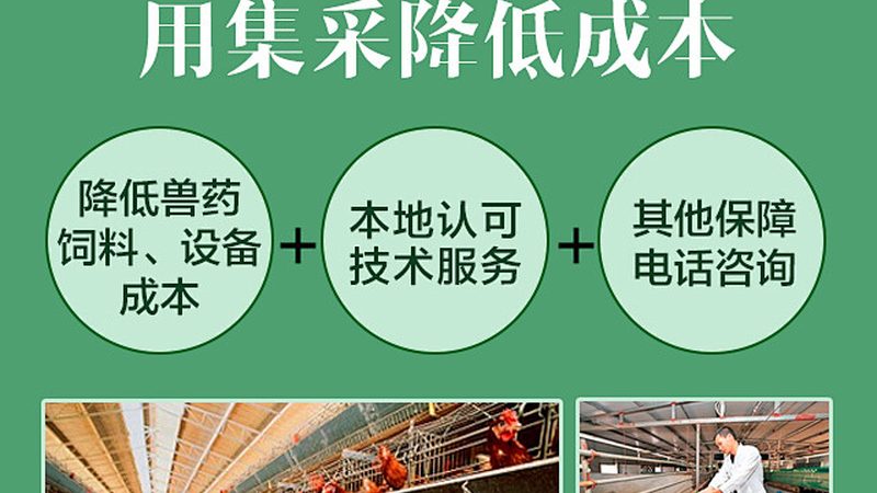 cro优化案例中用户体验改进方案