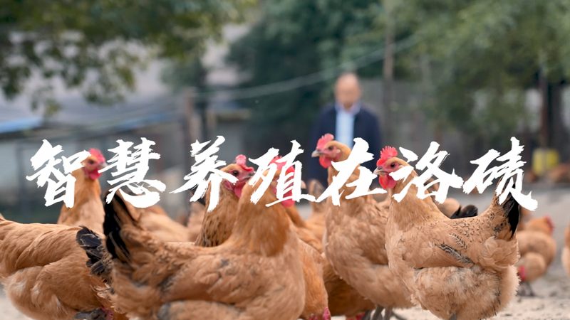 生物制品批发规格参数表：揭秘参数背后的意义
