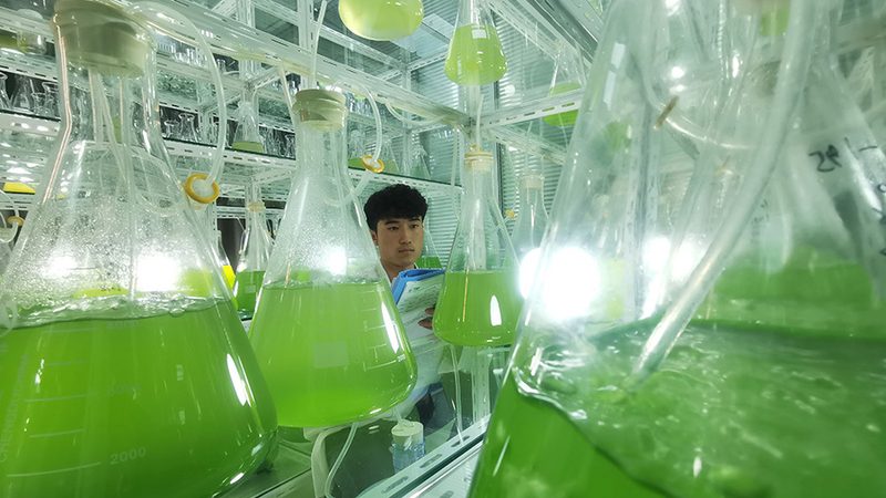 CDMO服务流程揭秘：从成本到效率的全方位解析
